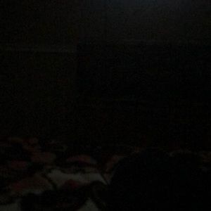 Meet your Posher, Bert